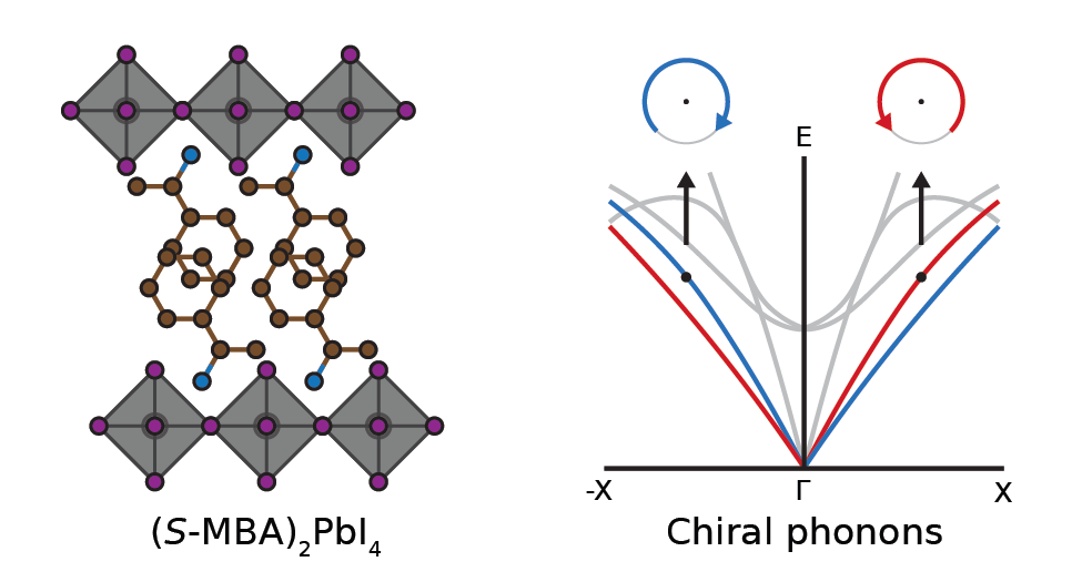 chiral_phonons.png